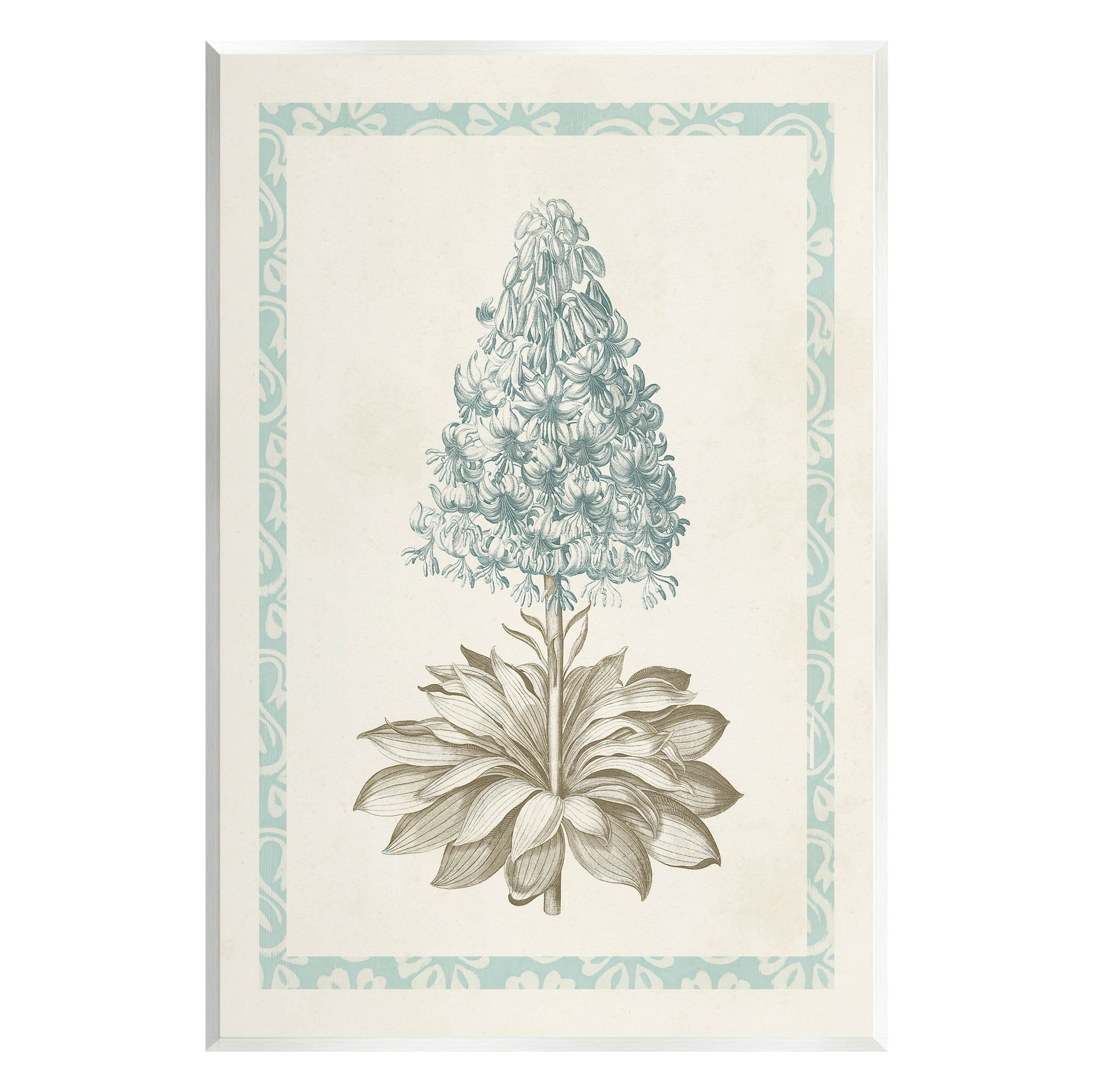Stupell Industries Vintage Plant Nature Study Graphic Art Unframed Art Print Wall Art, Design by Vision Studio