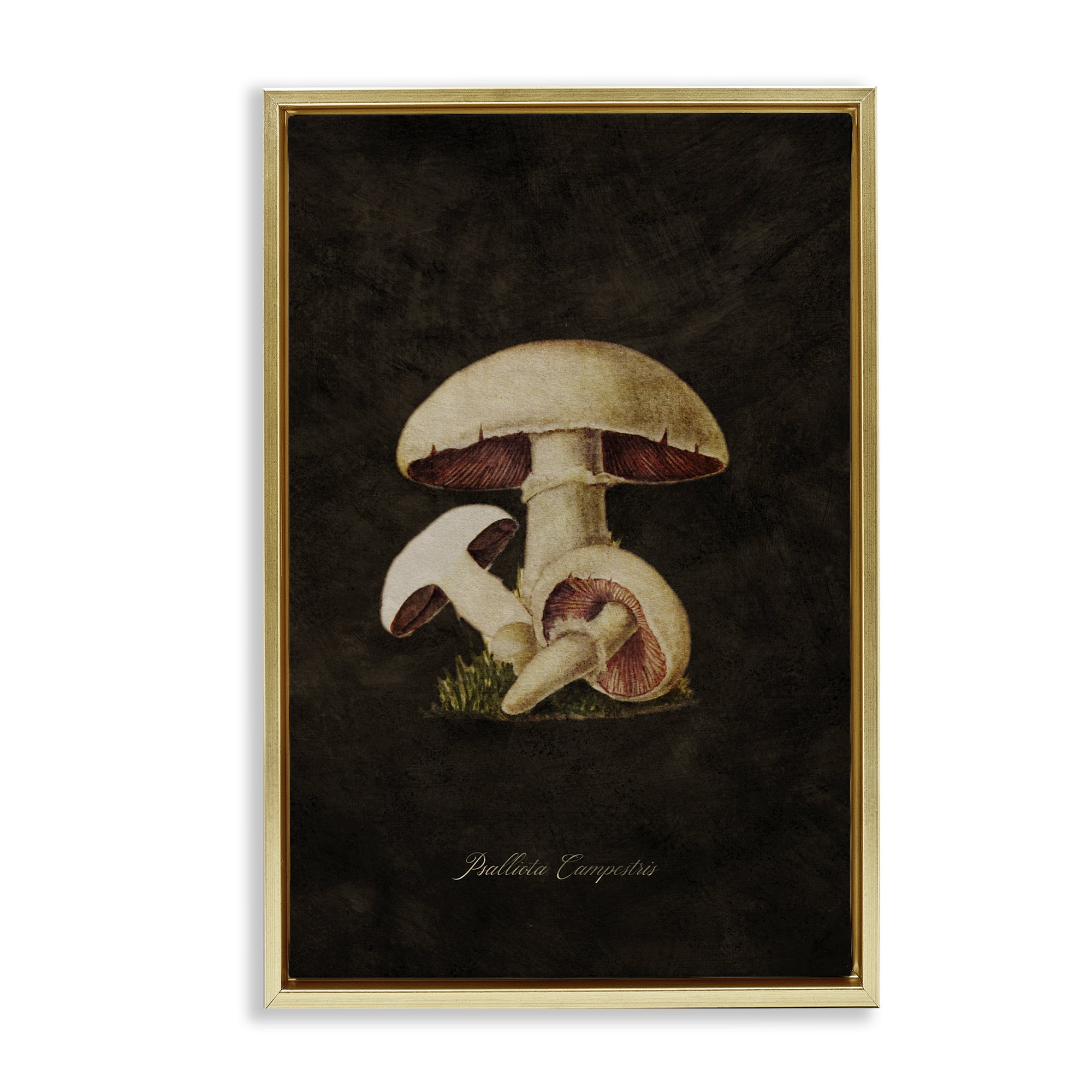 Stupell Industries Vintage Portobello Mushroom Plants & Flowers Painting Gold Floater Framed Canvas Art Print Wall Art, 17 x 25