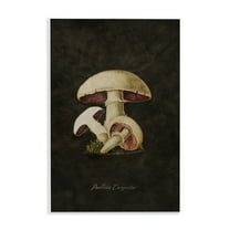 Stupell Industries Vintage Portobello Mushroom Plants & Flowers Painting Unframed Art Print Wall Art, 10 x 15