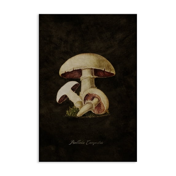 Stupell Industries Vintage Portobello Mushroom Plants & Flowers Painting Wrapped Canvas Art Print Wall Art, 24 x 36