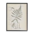 thumbnail image 1 of Stupell Industries Vintage Post Card Fern Leaf Botanical & Floral Drawing Black Framed Art Print Wall Art, 1 of 5