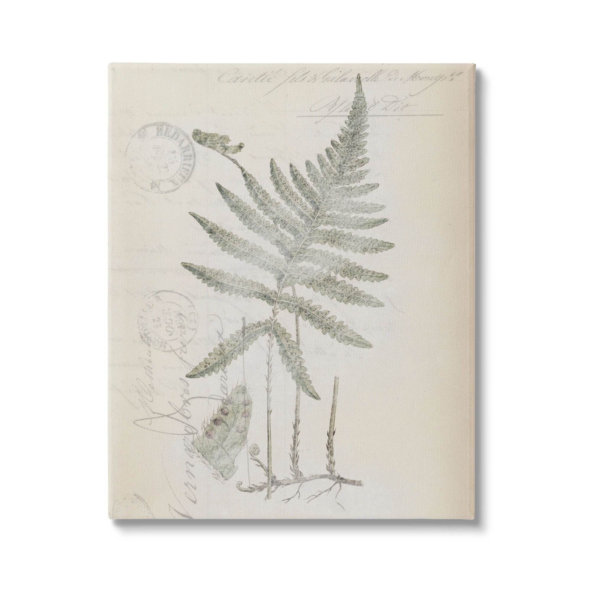 Stupell Industries Vintage Post Card Fern Leaf Botanical & Floral Drawing Gallery Wrapped Canvas Print Wall Art