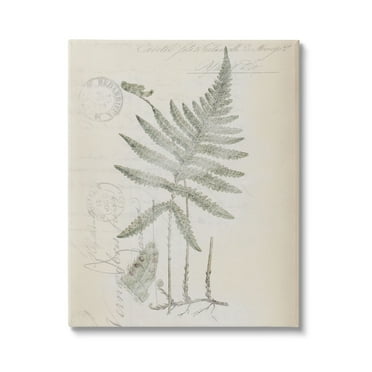 Stupell Industries Vintage Post Card Fern Leaf Botanical & Floral Drawing Gallery Wrapped Canvas Print Wall Art