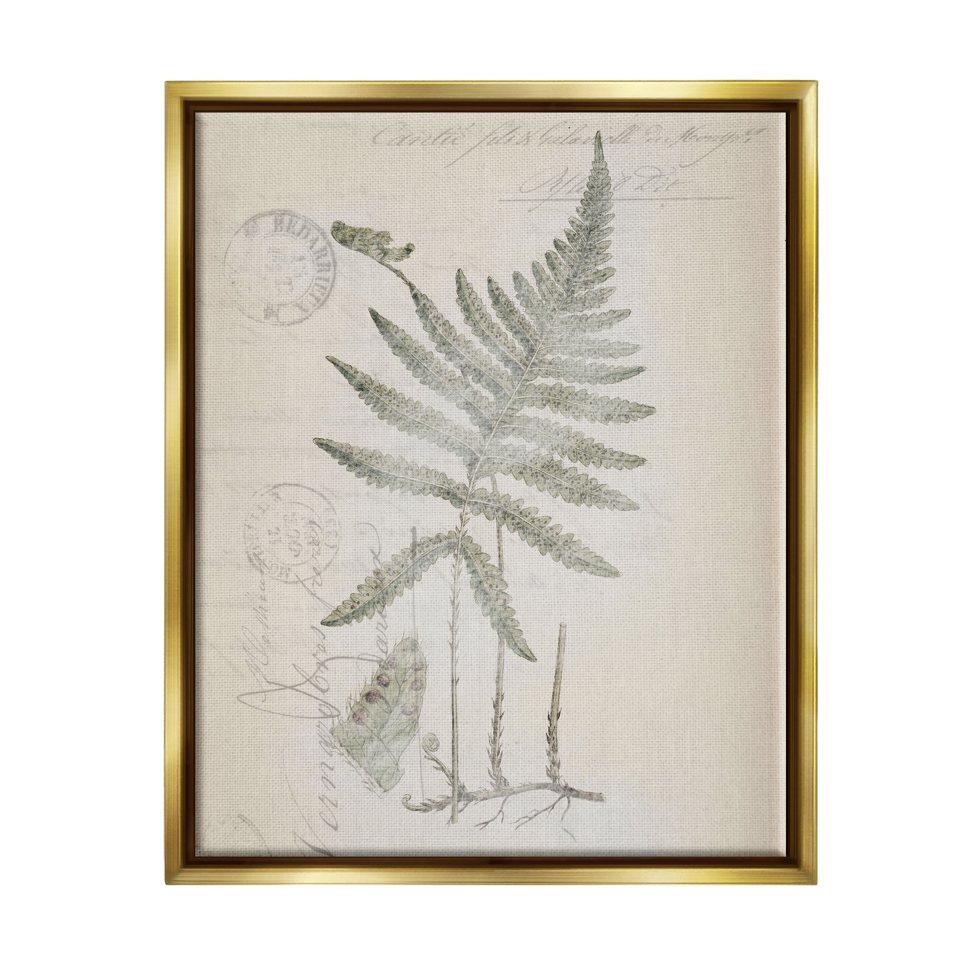 Stupell Industries Vintage Post Card Fern Leaf Botanical & Floral Drawing Gold Floater Framed Art Print Wall Art