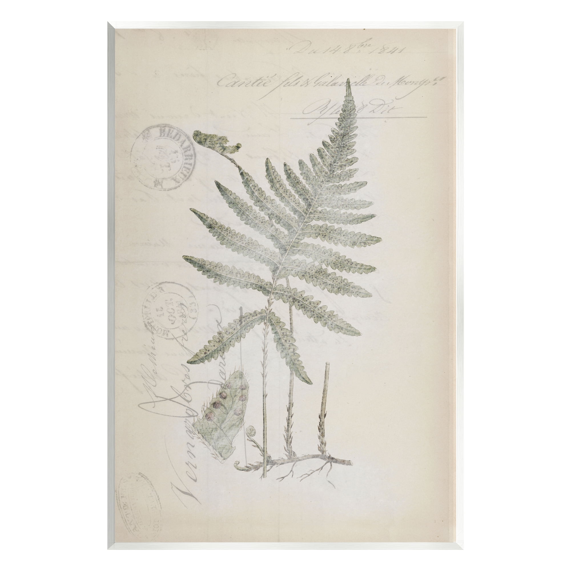 Stupell Industries Vintage Post Card Fern Leaf Botanical & Floral Drawing Unframed Art Print Wall Art