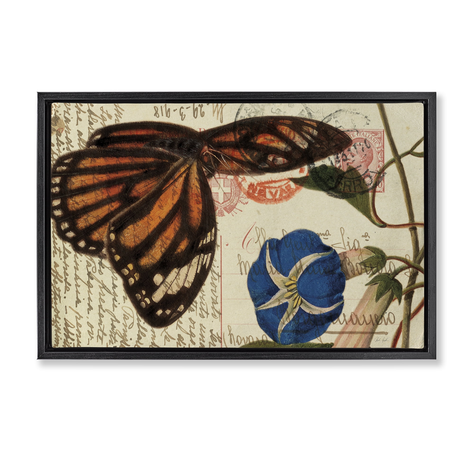 Stupell Industries Vintage Postcard & Fauna Insects Painting Black Floater Framed Canvas Art Print Wall Art, 25 x 17