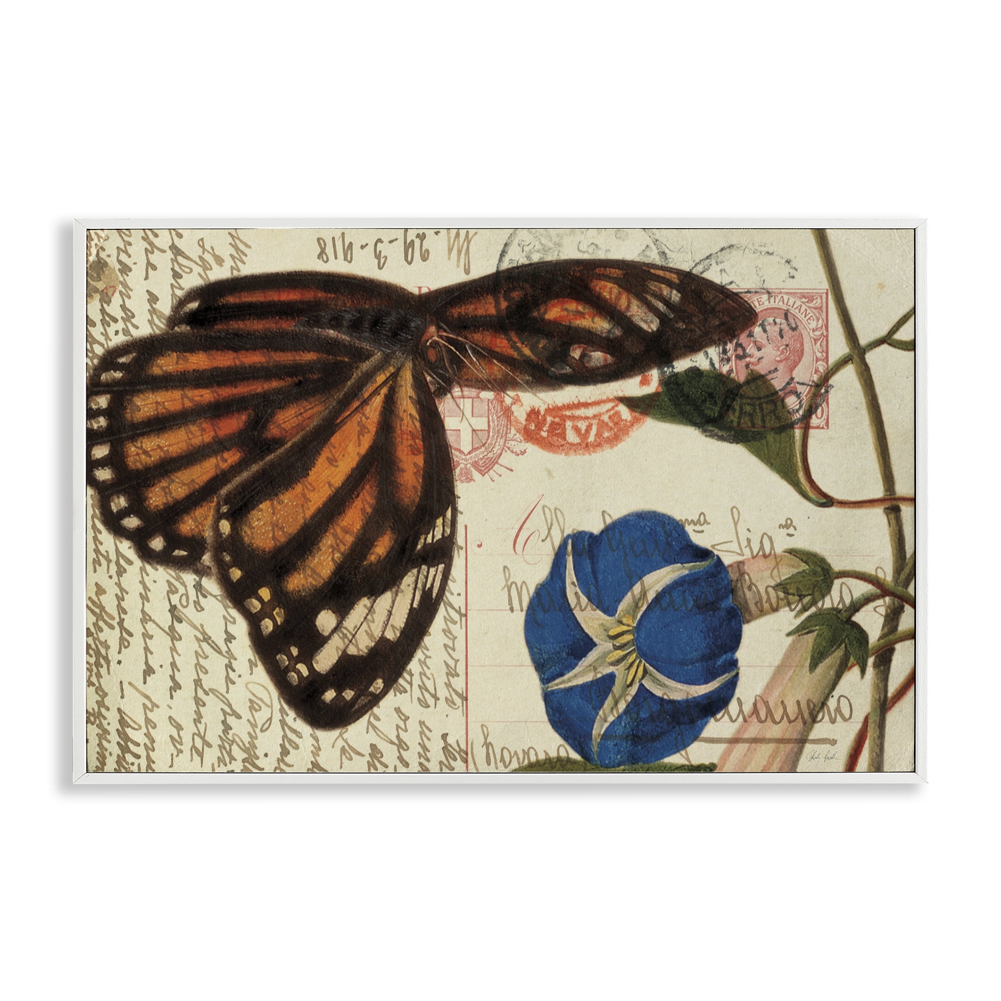 Stupell Industries Vintage Postcard & Fauna Insects Painting White Framed Art Print Wall Art, 30 x 20