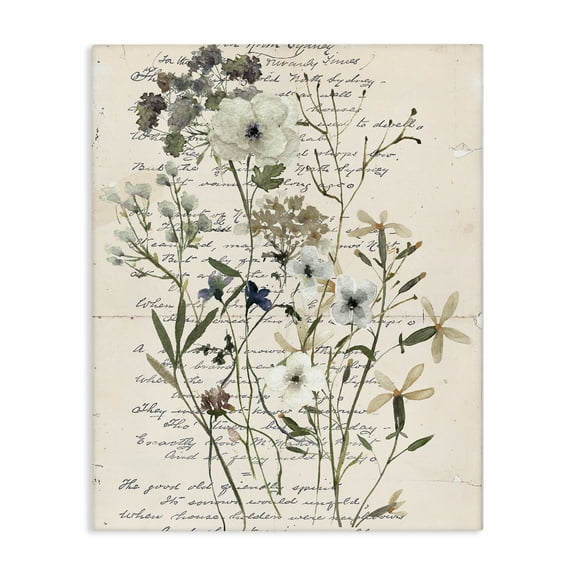 Stupell Industries Vintage Pressed Flowers Plants & Flowers Painting Wrapped Canvas Art Print Wall Art, 36 x 48