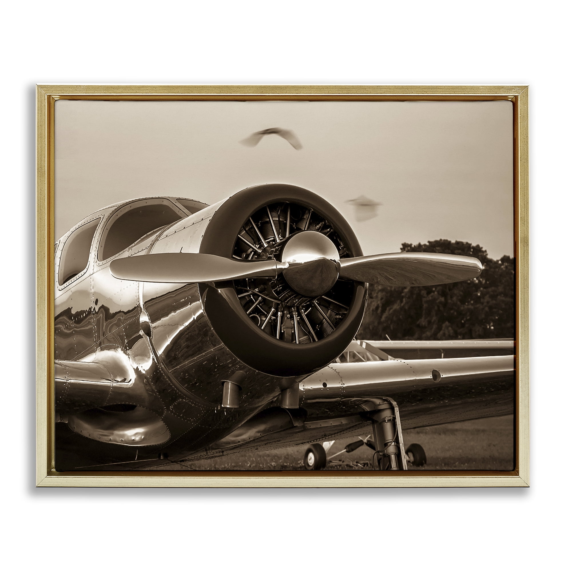 Stupell Industries Vintage Propeller View Transportation Photography Gold Floater Framed Canvas Art Print Wall Art, 21 x 17