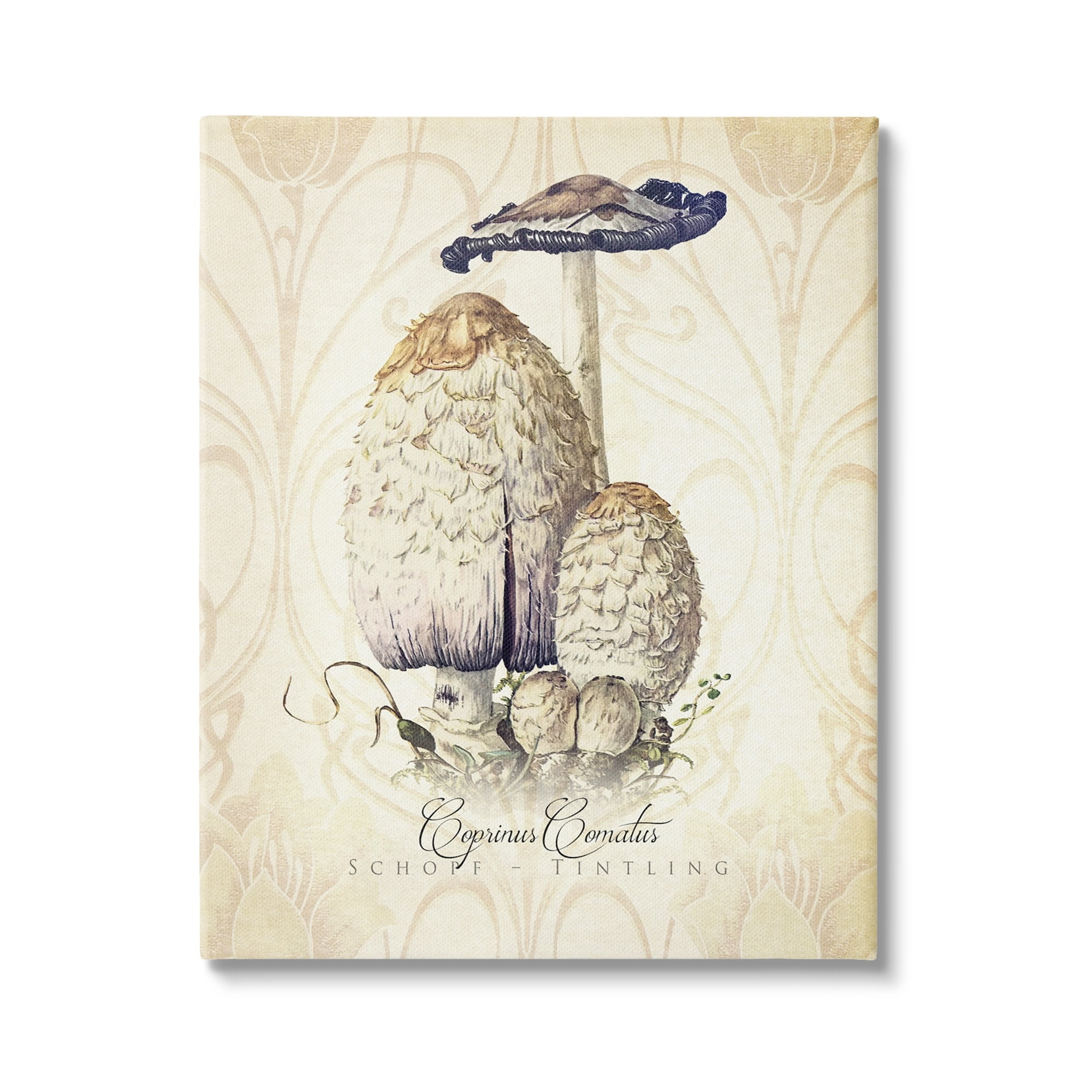 Stupell Industries Vintage Scientific Mushroom Study Botanical & Floral Painting Gallery Wrapped Canvas Print Wall Art