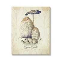 Stupell Industries Vintage Scientific Mushroom Study Botanical & Floral Painting Gallery Wrapped Canvas Print Wall Art