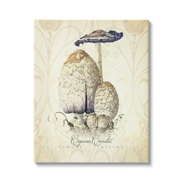 Stupell Industries Vintage Scientific Mushroom Study Botanical & Floral Painting Gallery Wrapped Canvas Print Wall Art