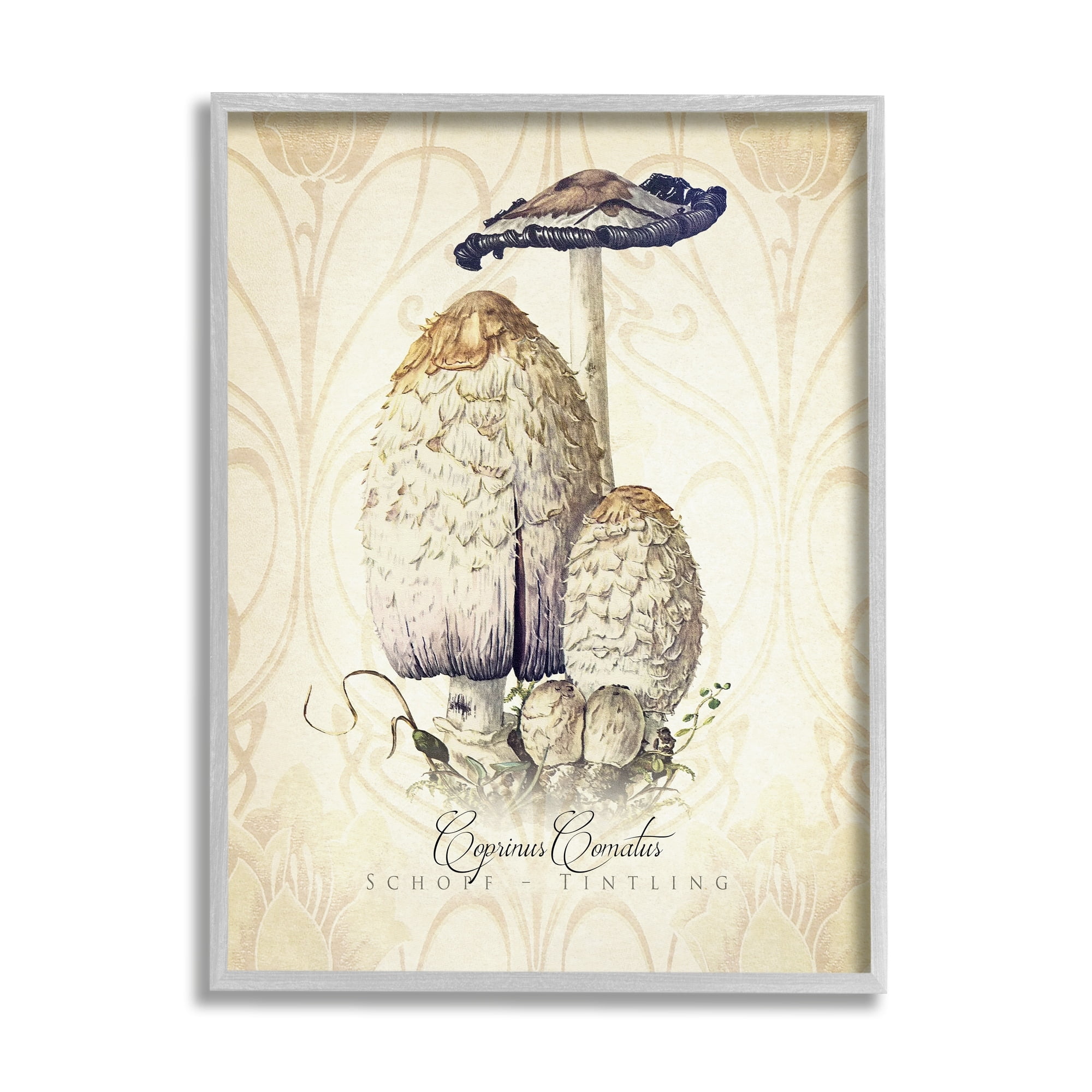Stupell Industries Vintage Scientific Mushroom Study Botanical & Floral Painting Gray Framed Art Print Wall Art