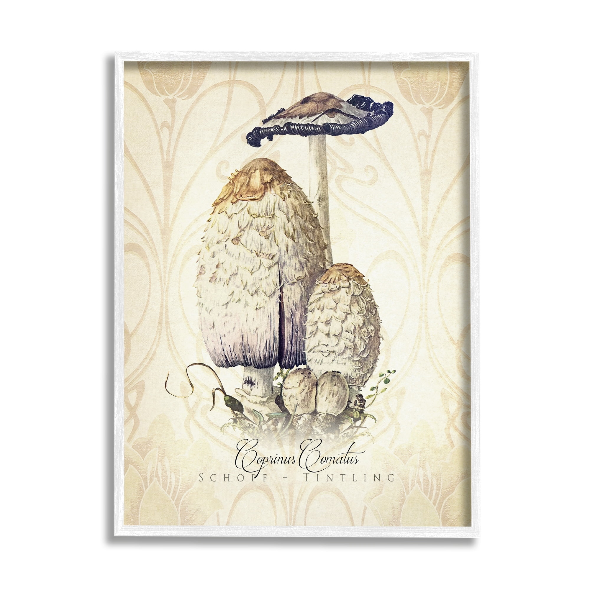 Stupell Industries Vintage Scientific Mushroom Study Botanical & Floral Painting White Framed Art Print Wall Art