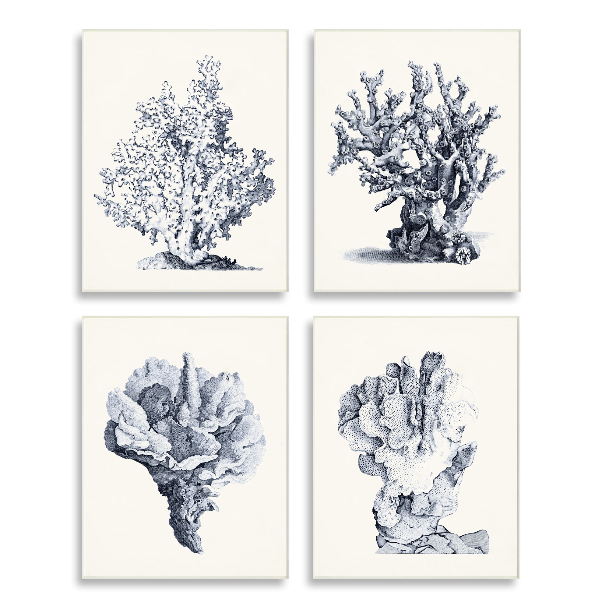 Stupell Industries Vintage Sea Coral Underwater Ocean Life Illustration , 10 x 15,Design by Vision Studio