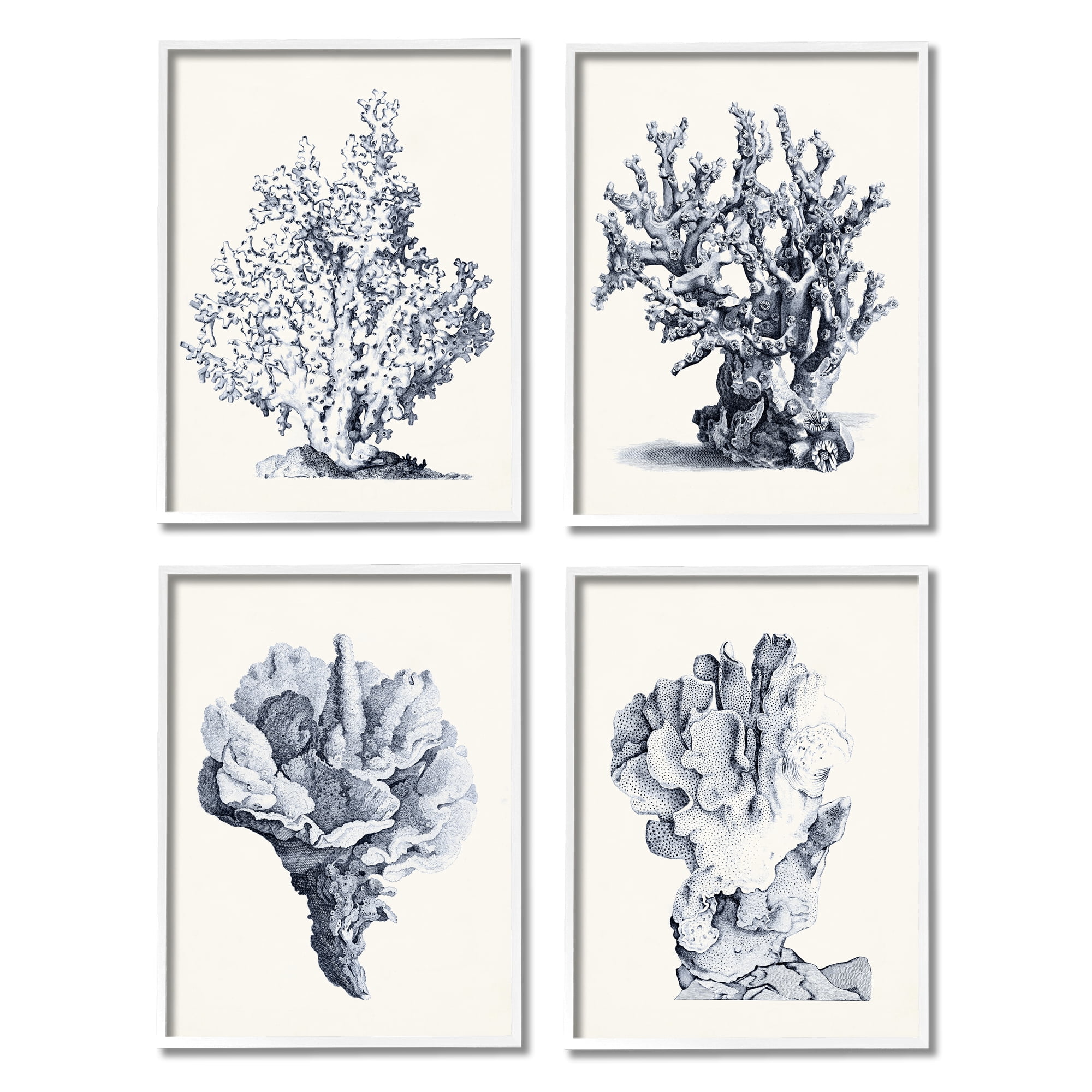 Stupell Industries Vintage Sea Coral Underwater Ocean Life Illustration , 16 x 20,Design by Vision Studio