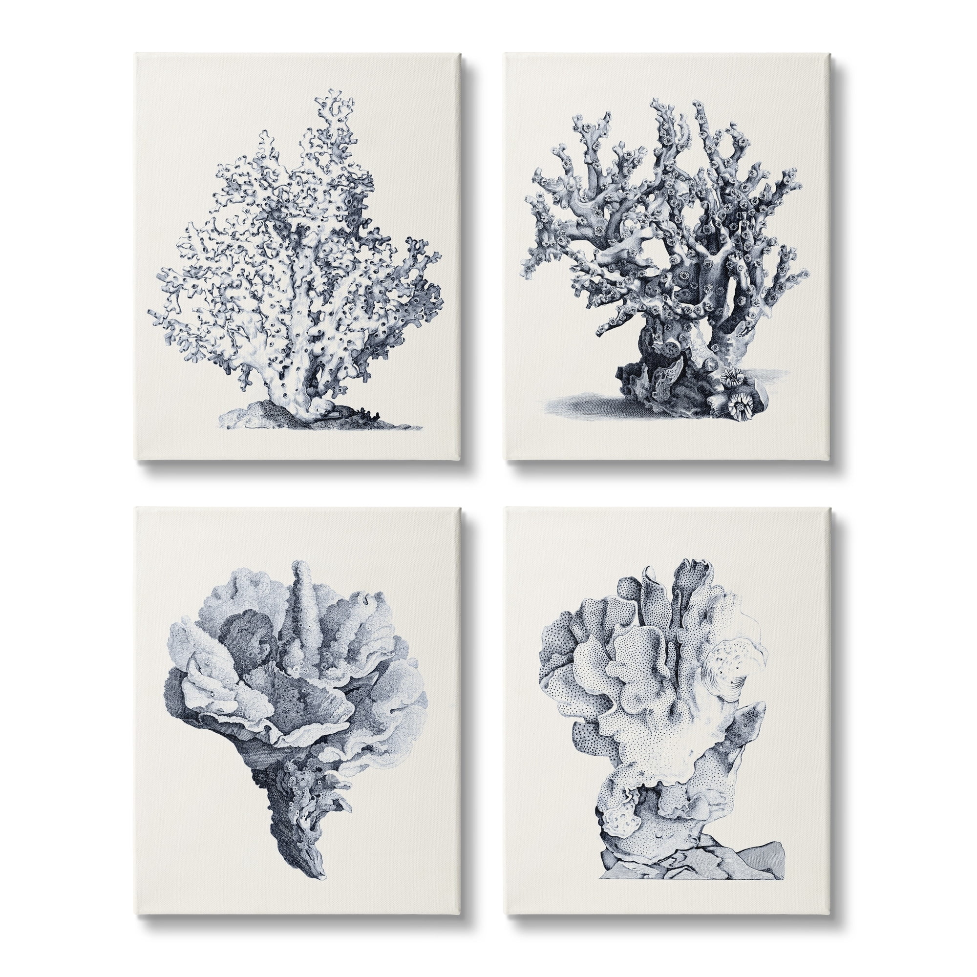 Stupell Industries Vintage Sea Coral Underwater Ocean Life Illustration , 16 x 20,Design by Vision Studio