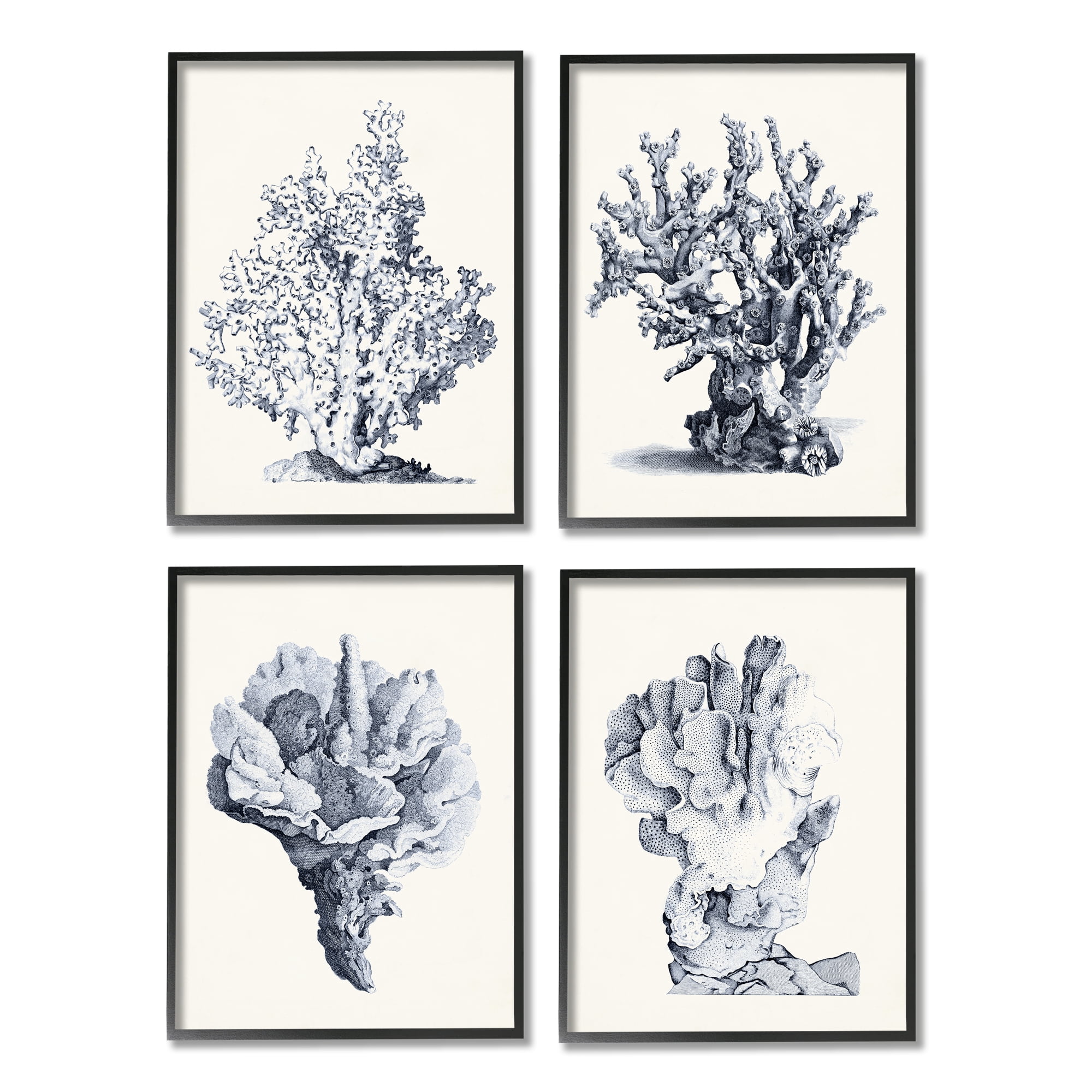 Stupell Industries Vintage Sea Coral Underwater Ocean Life Illustration , 16 x 20,Design by Vision Studio