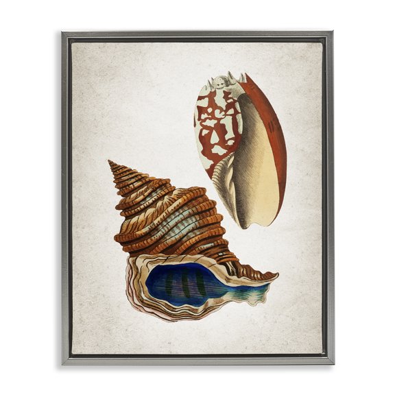Stupell Industries Vintage Seashell Duo Animals Painting Gray Floater Framed Canvas Art Print Wall Art, 17 x 21