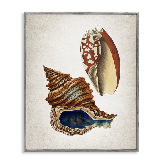 Stupell Industries Vintage Seashell Duo Animals Painting Gray Framed Art Print Wall Art, 24 x 30