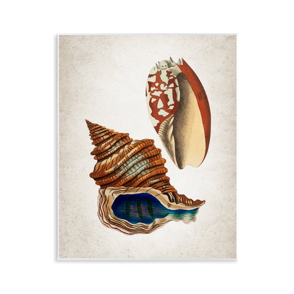 Stupell Industries Vintage Seashell Duo Animals Painting Unframed Art Print Wall Art, 11 x 14