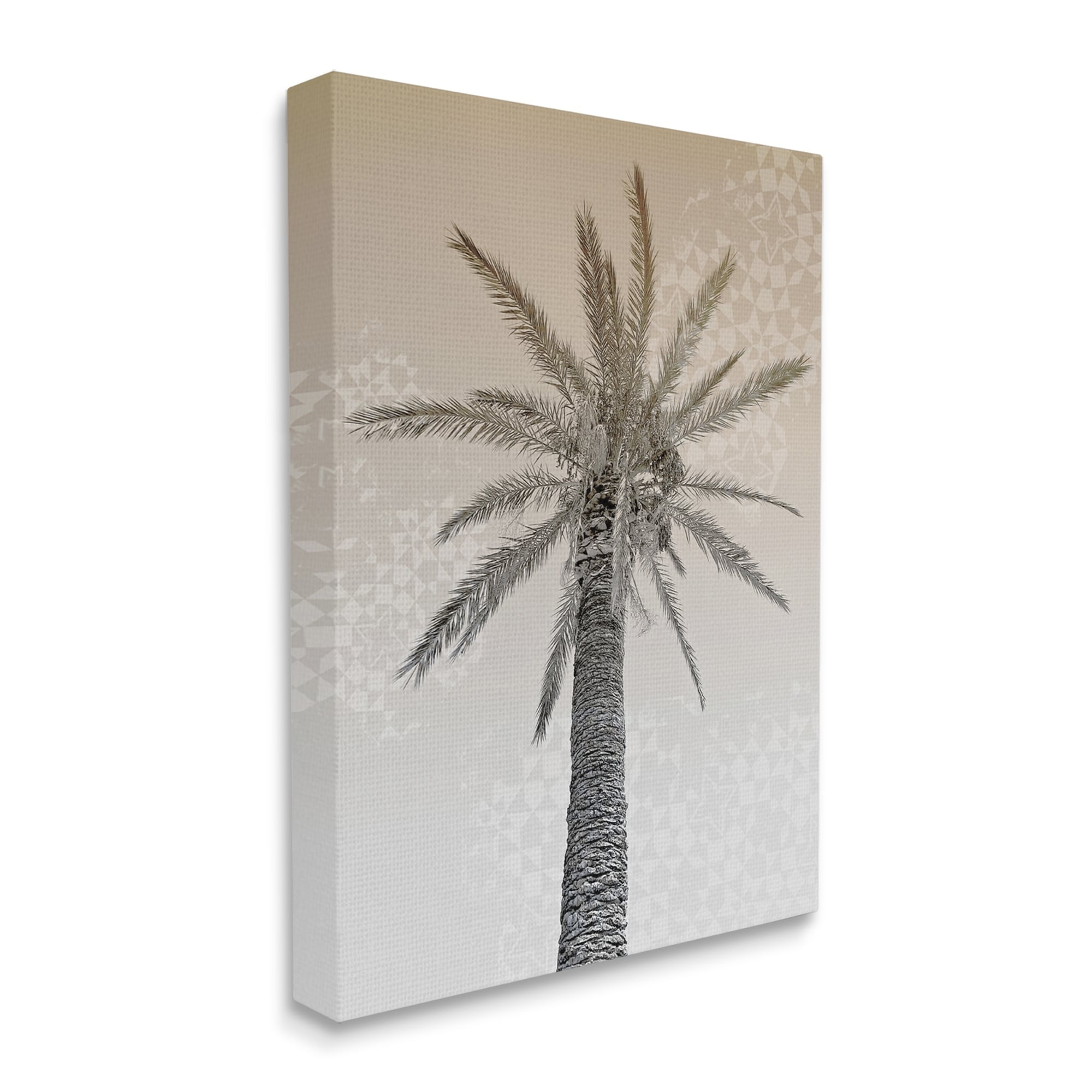 Stupell Industries Vintage Sepia Palm Tree Geometric Pattern Canvas Wall Art by Daphne Polselli