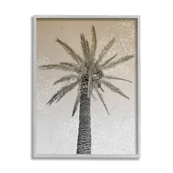 Stupell Industries Vintage Sepia Palm Tree Geometric Pattern Gray Framed by Daphne Polselli