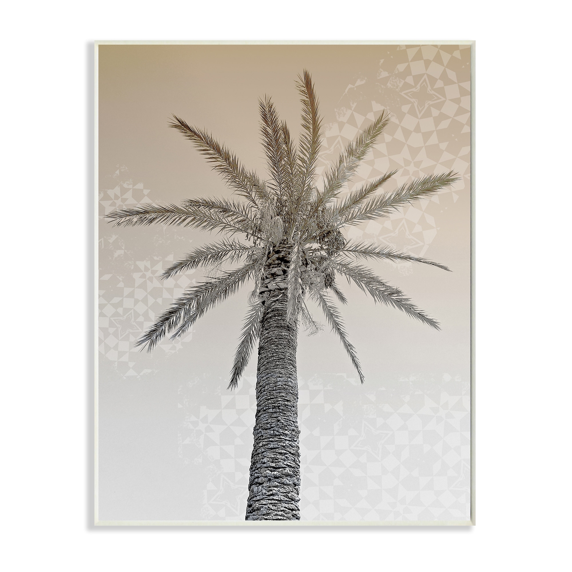 Stupell Industries Vintage Sepia Palm Tree Geometric Pattern Wall Plaque by Daphne Polselli