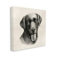 thumbnail image 1 of Stupell Industries Vintage Sepia Tone Black Labrador Dog Portrait Designed by Grace Popp, 1 of 6