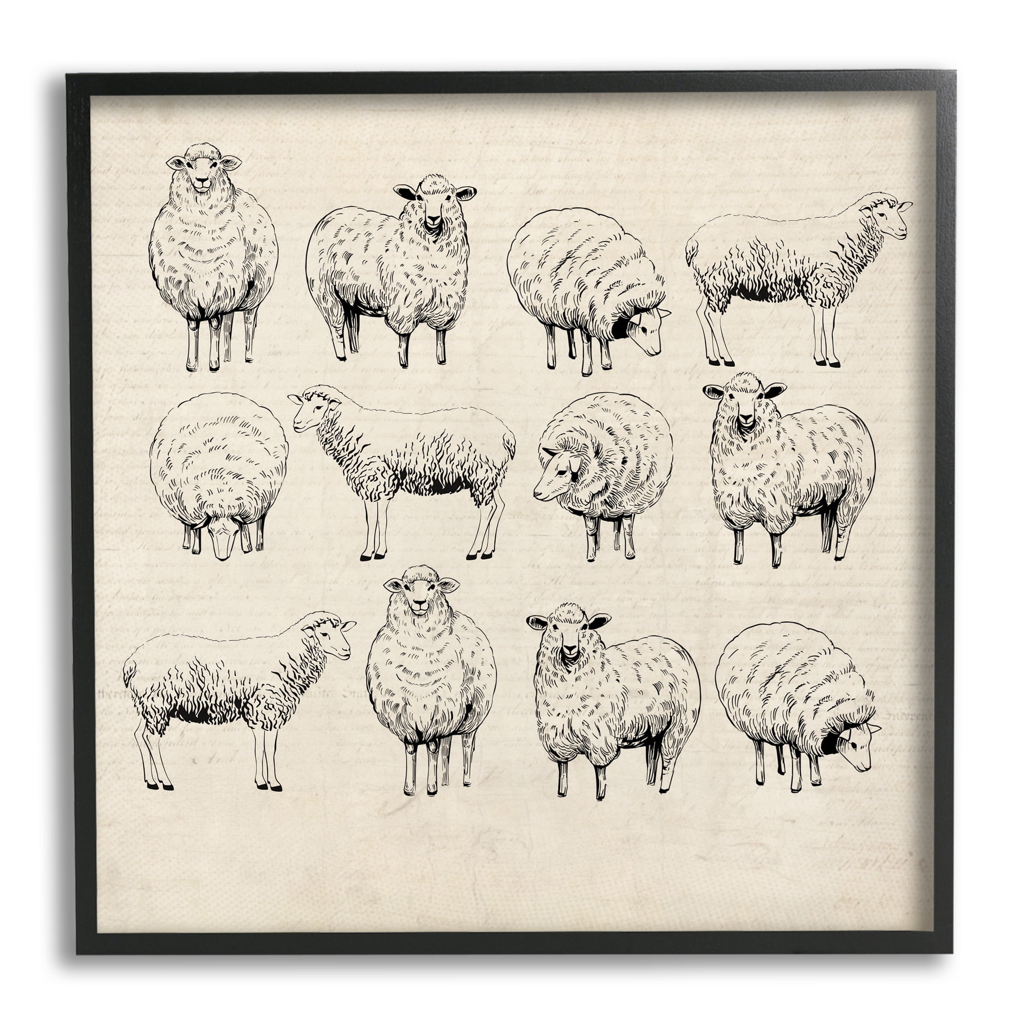 Stupell Industries Vintage Sheep Drawings Animals & Insects Painting Black Framed Art Print Wall Art, 12 x 12