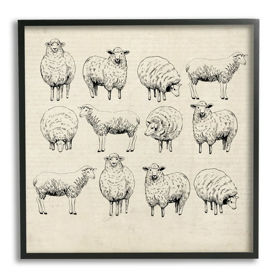 Stupell Industries Vintage Sheep Drawings Animals & Insects Painting Black Framed Art Print Wall Art, 12 x 12