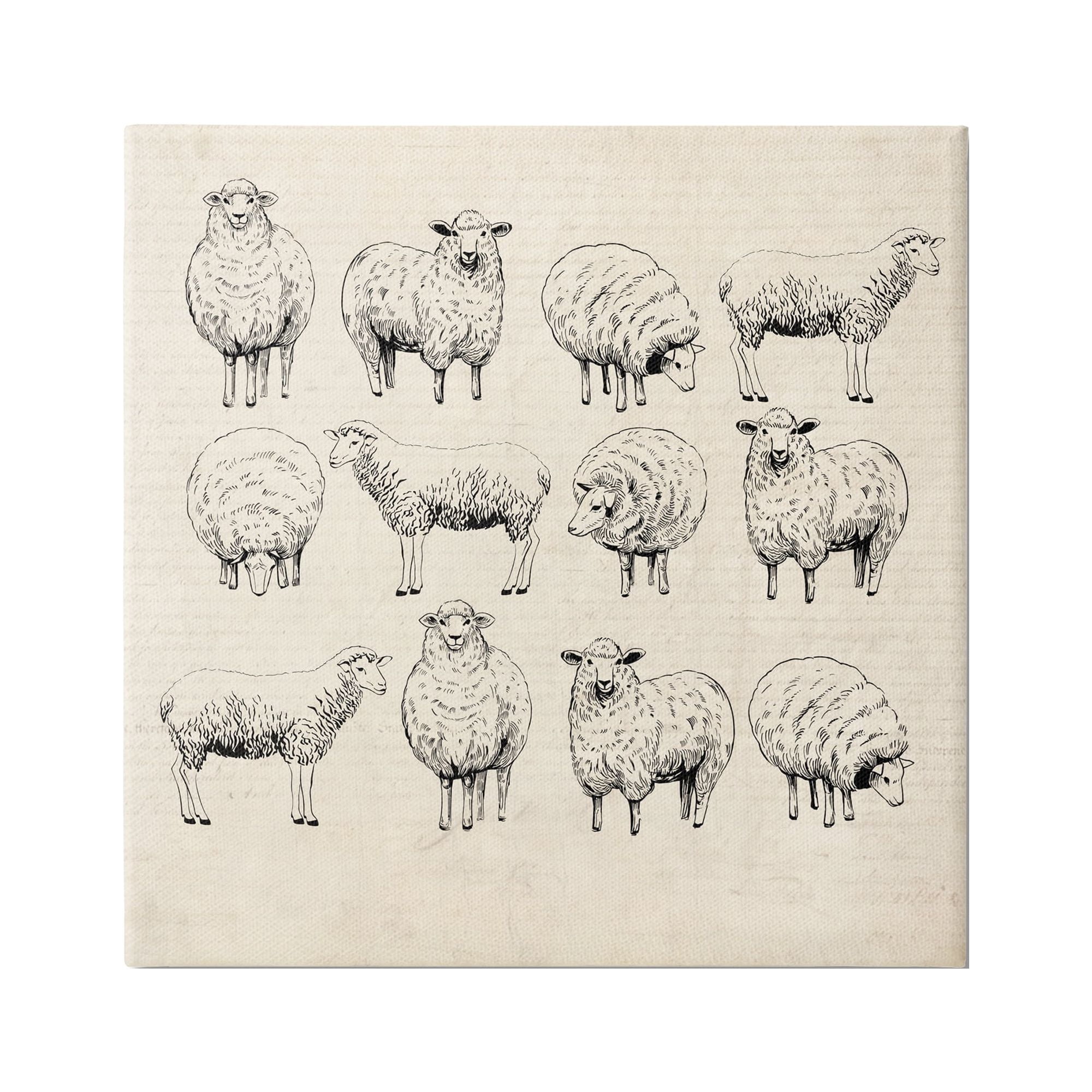 Stupell Industries Vintage Sheep Drawings Animals & Insects Painting Gallery Wrapped Canvas Art Print Wall Art, 17 x 17