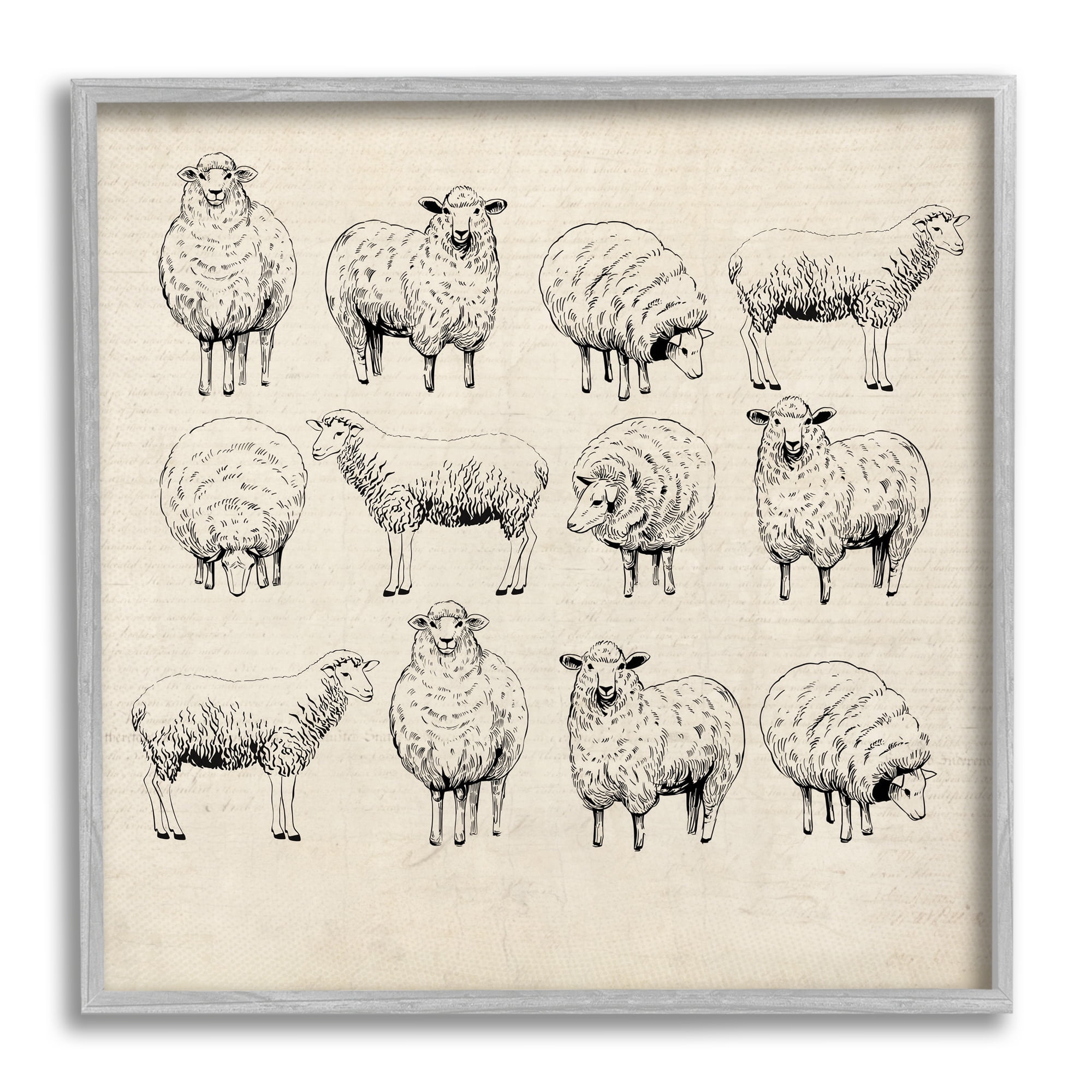 Stupell Industries Vintage Sheep Drawings Animals & Insects Painting Gray Framed Art Print Wall Art, 12 x 12