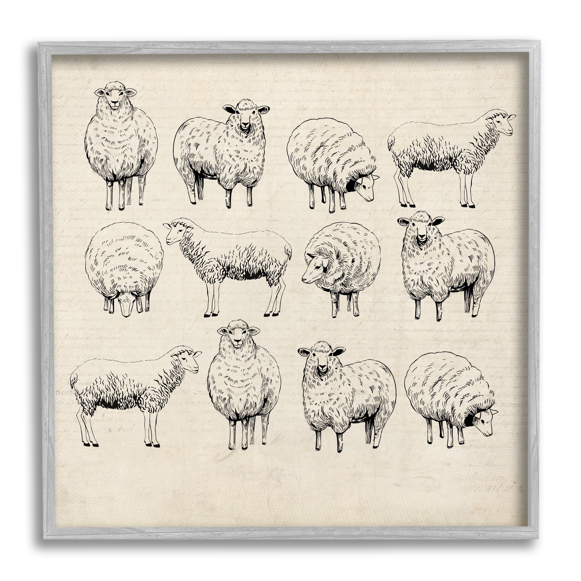 Stupell Industries Vintage Sheep Drawings Animals & Insects Painting Gray Framed Art Print Wall Art, 17 x 17
