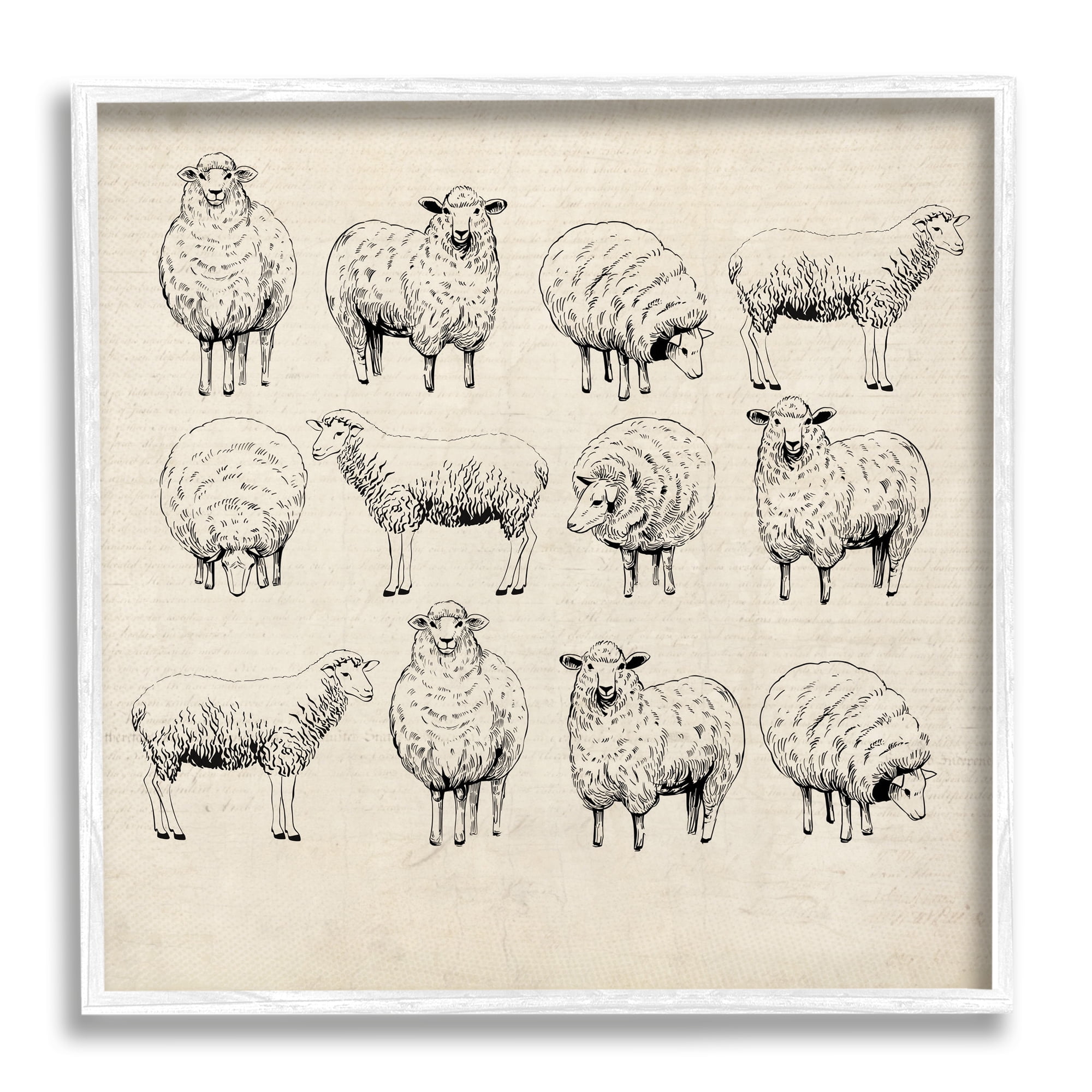 Stupell Industries Vintage Sheep Drawings Animals & Insects Painting White Framed Art Print Wall Art, 12 x 12