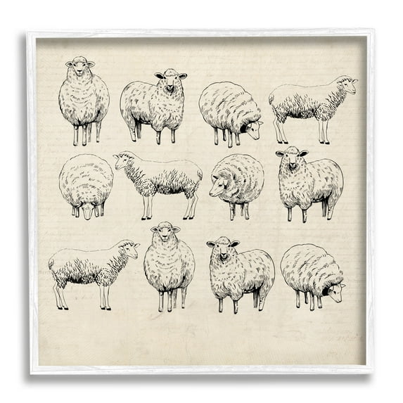 Stupell Industries Vintage Sheep Drawings Animals & Insects Painting White Framed Art Print Wall Art, 17 x 17
