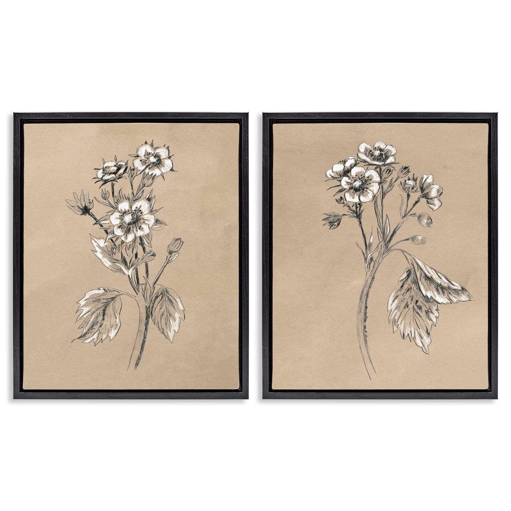 Stupell Industries Vintage Sketch Botanical Plants & Flowers Drawing Black Floater Framed Canvas Art Print Wall Art, 17 x 21, Set of 2
