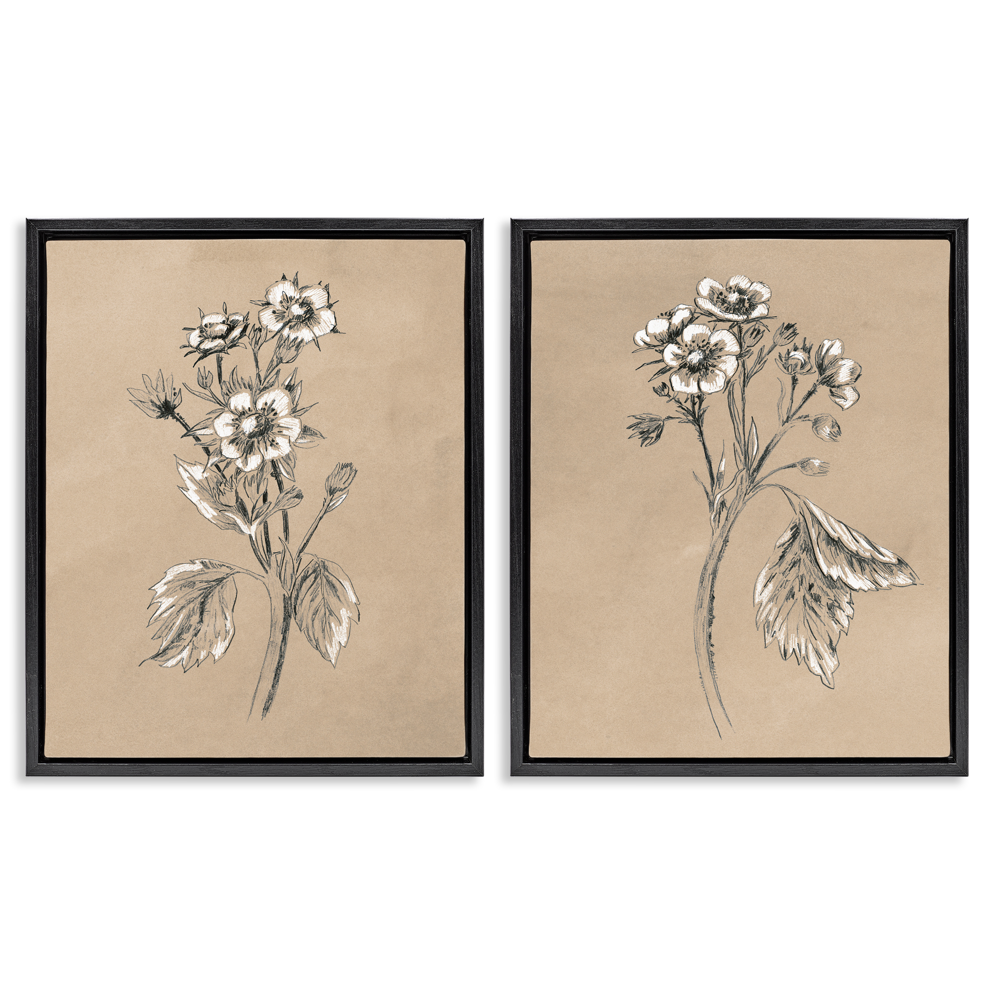 Stupell Industries Vintage Sketch Botanical Plants & Flowers Drawing Black Floater Framed Canvas Art Print Wall Art, 31 x 25, Set of 2