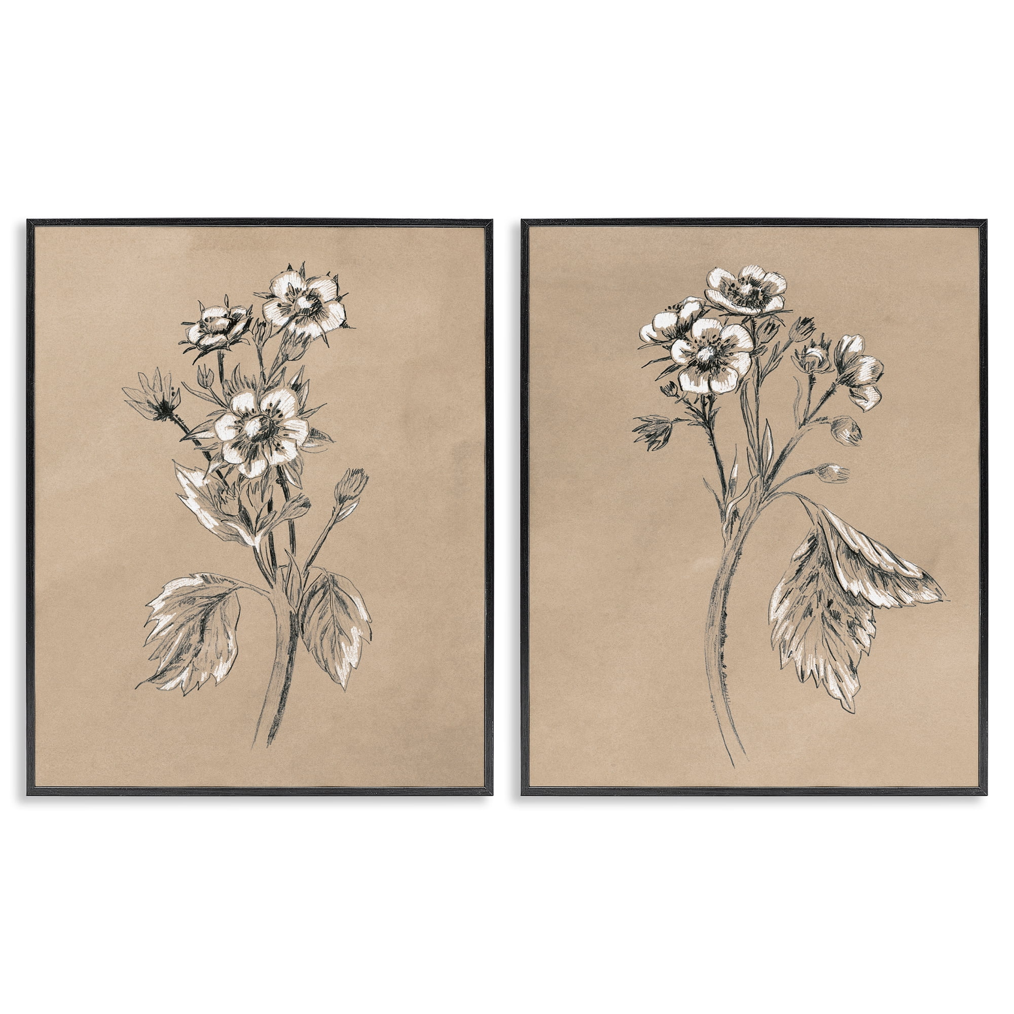 Stupell Industries Vintage Sketch Botanical Plants & Flowers Drawing Black Framed Art Print Wall Art, 16 x 20, Set of 2