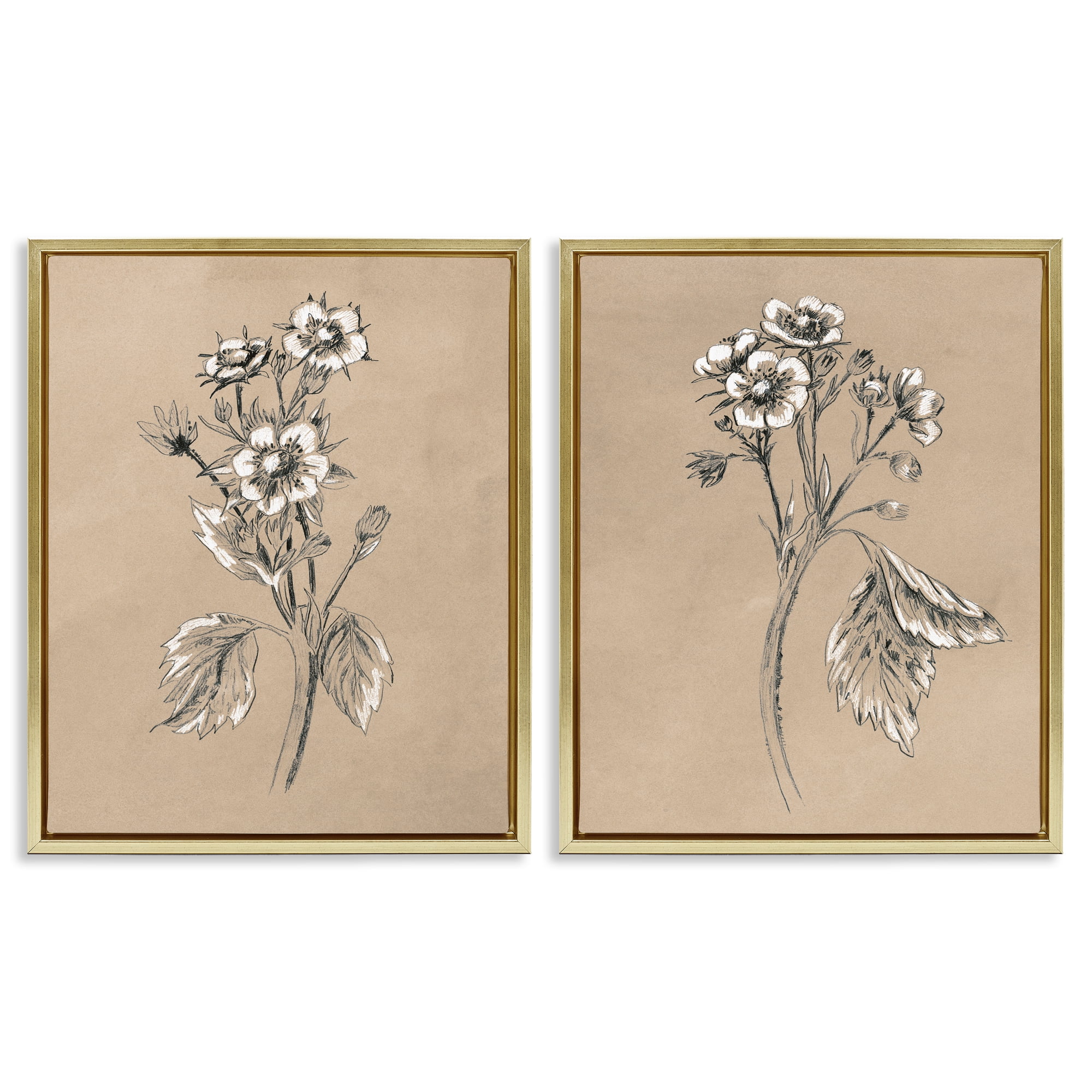 Stupell Industries Vintage Sketch Botanical Plants & Flowers Drawing Gold Floater Framed Canvas Art Print Wall Art, 17 x 21, Set of 2