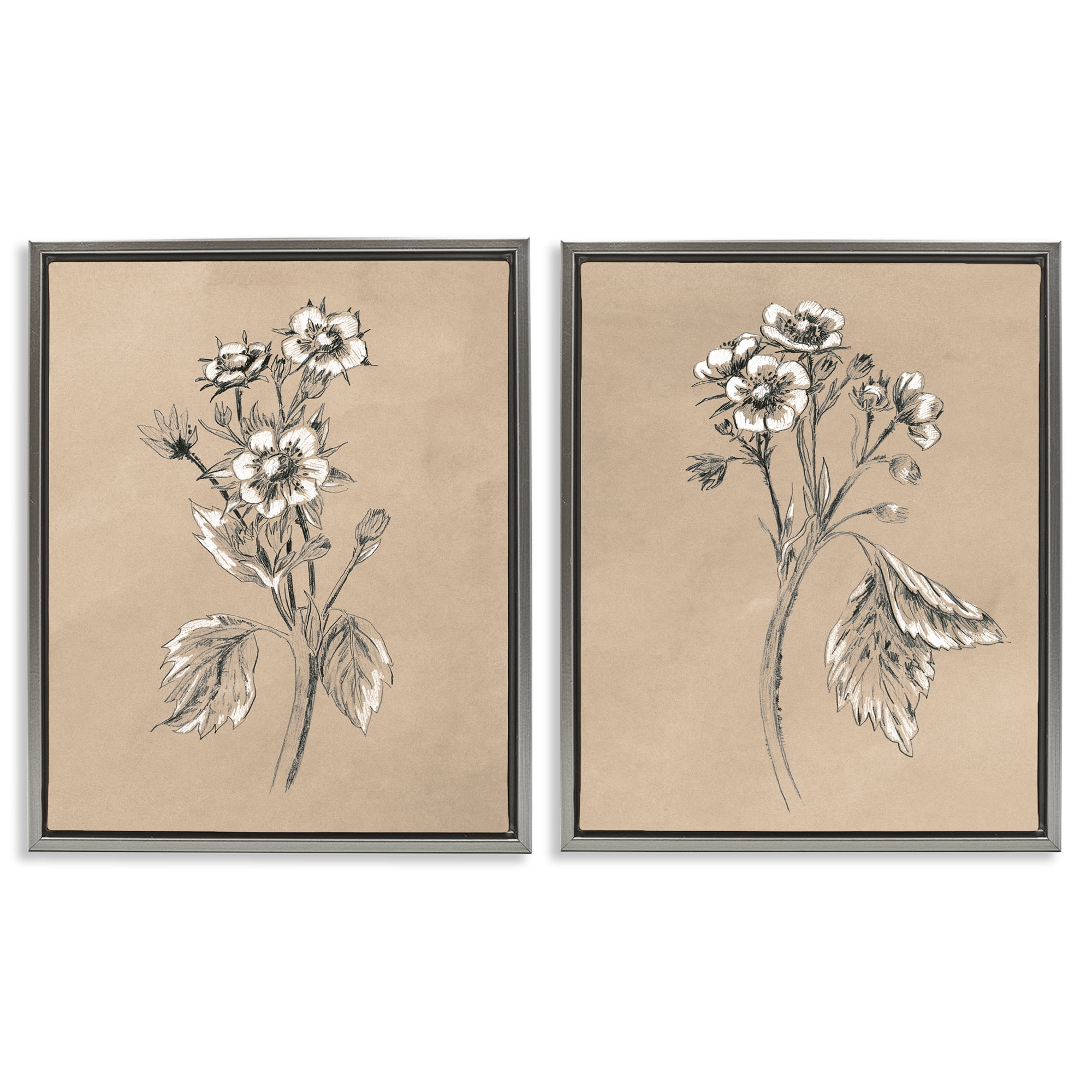 Stupell Industries Vintage Sketch Botanical Plants & Flowers Drawing Gray Floater Framed Canvas Art Print Wall Art, 31 x 25, Set of 2