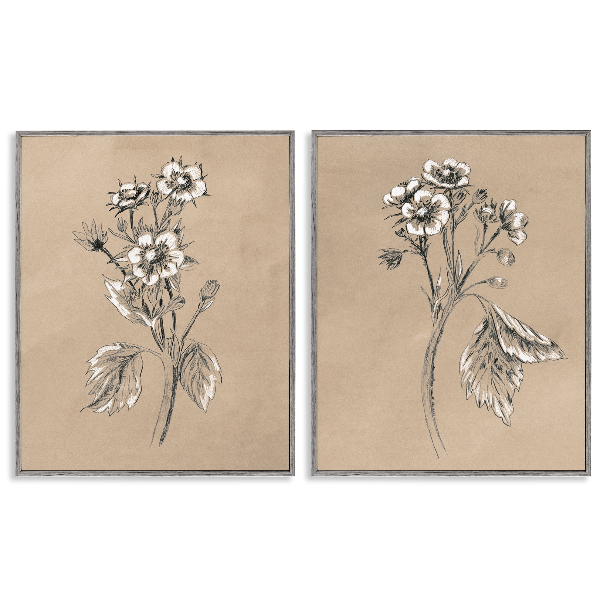 Stupell Industries Vintage Sketch Botanical Plants & Flowers Drawing Gray Framed Art Print Wall Art, 24 x 30, Set of 2
