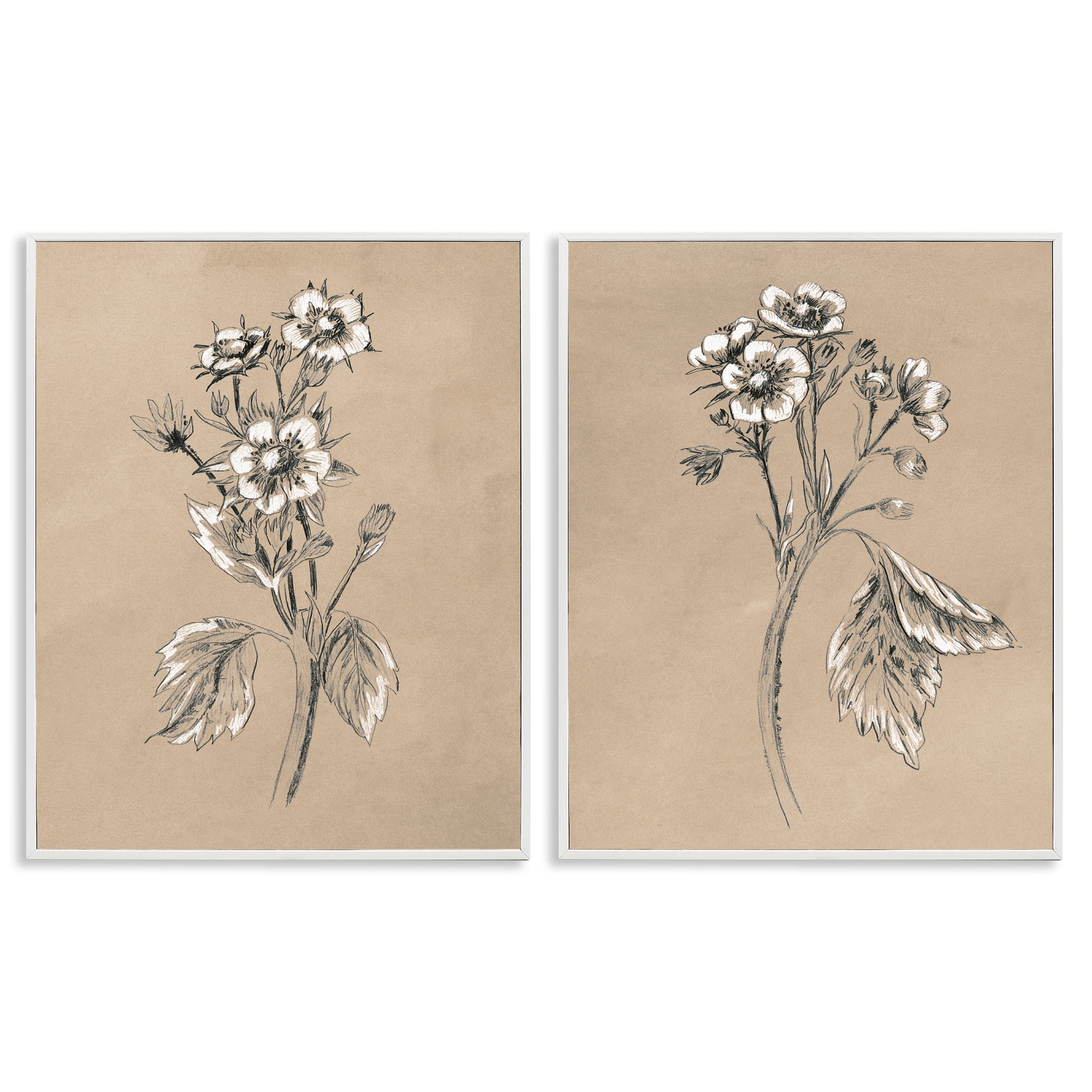 Stupell Industries Vintage Sketch Botanical Plants & Flowers Drawing White Framed Art Print Wall Art, 11 x 14, Set of 2