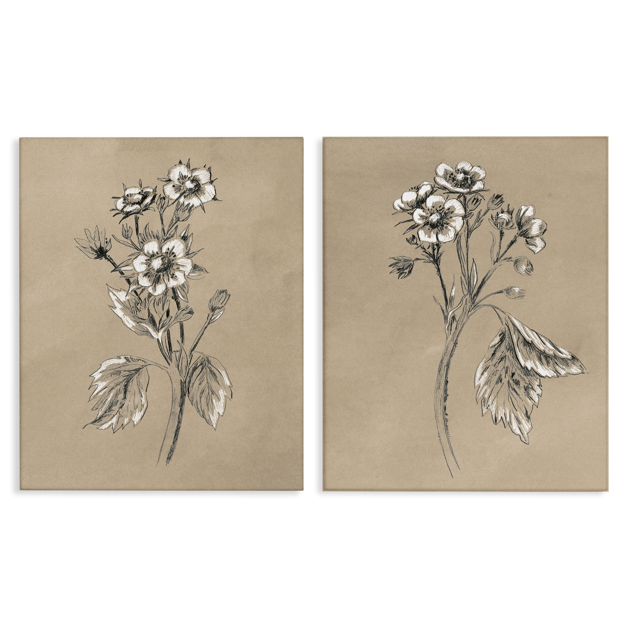 Stupell Industries Vintage Sketch Botanical Plants & Flowers Drawing Wrapped Canvas Art Print Wall Art, 24 x 30, Set of 2