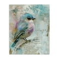 thumbnail image 1 of Stupell Industries Eclectic Vintage Soft Pastel Bird Canvas Art, 24 x 30, by Riley B, 1 of 8
