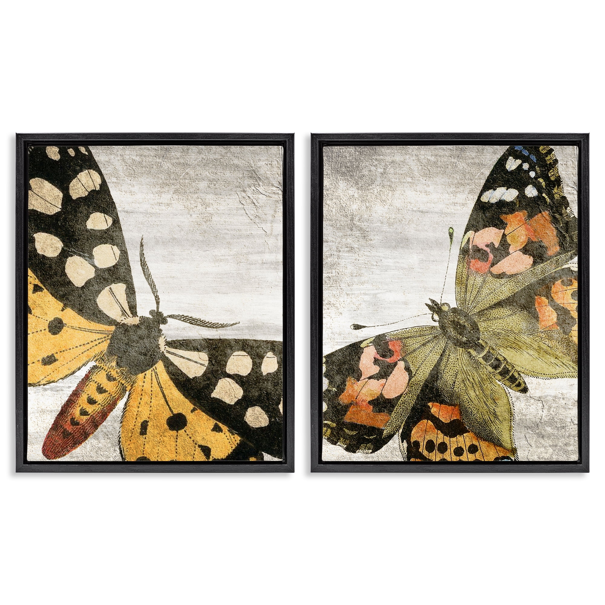 Stupell Industries Vintage Spotted butterflies Animals Painting Black Floater Framed Canvas Art Print Wall Art, 31 x 25, Set of 2