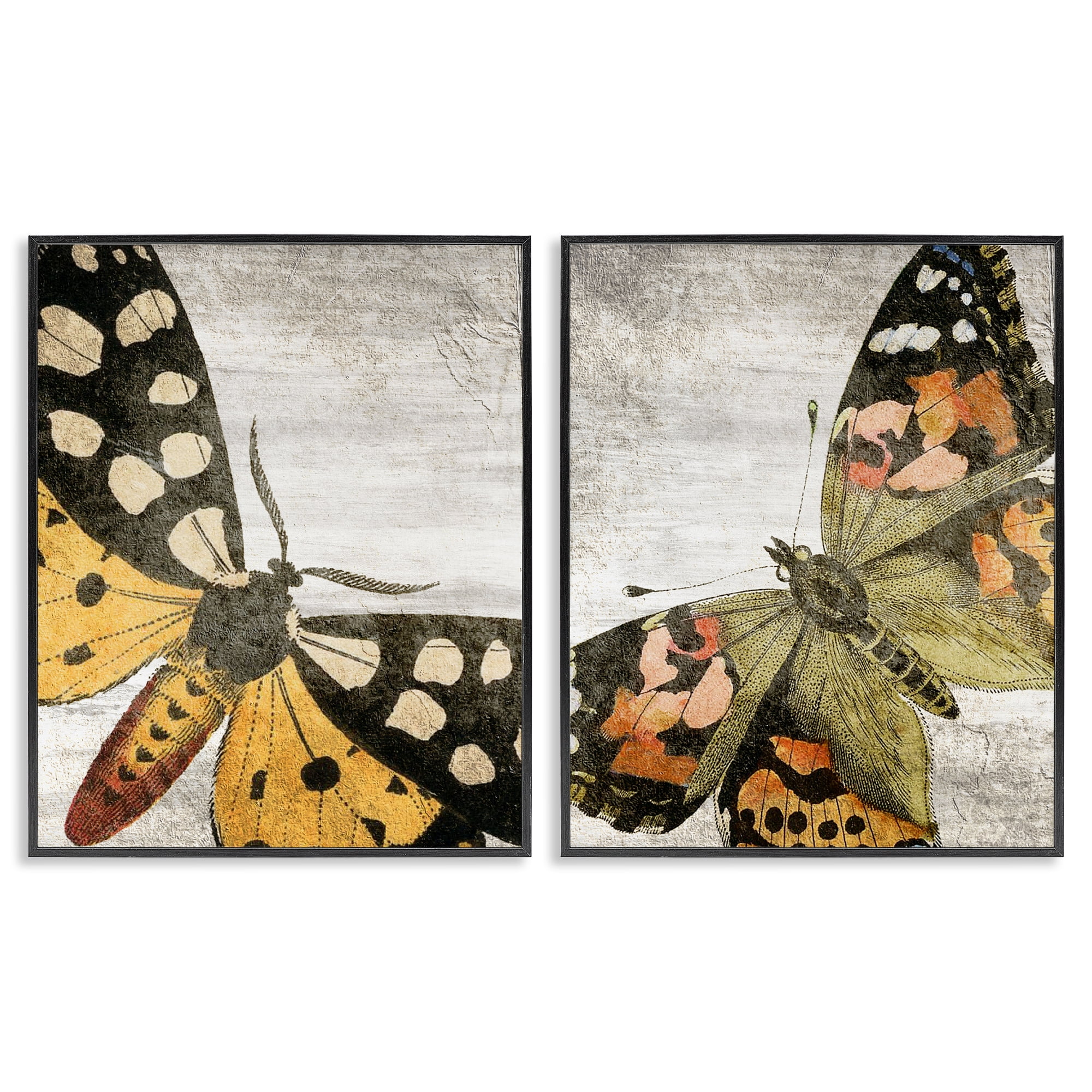 Stupell Industries Vintage Spotted butterflies Animals Painting Black Framed Art Print Wall Art, 16 x 20, Set of 2