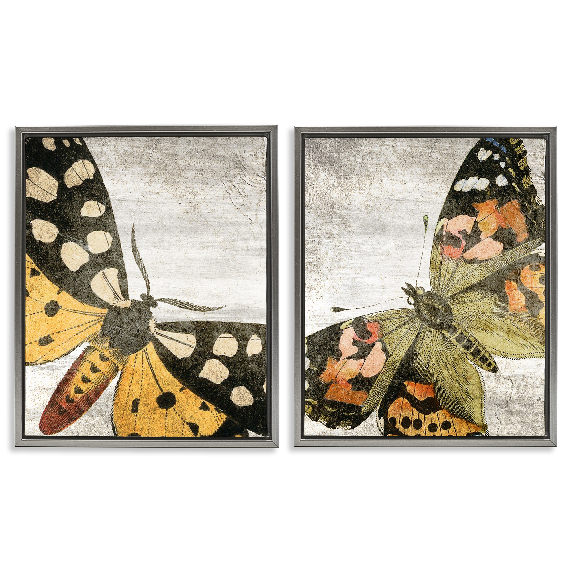 Stupell Industries Vintage Spotted butterflies Animals Painting Gray Floater Framed Canvas Art Print Wall Art, 17 x 21, Set of 2