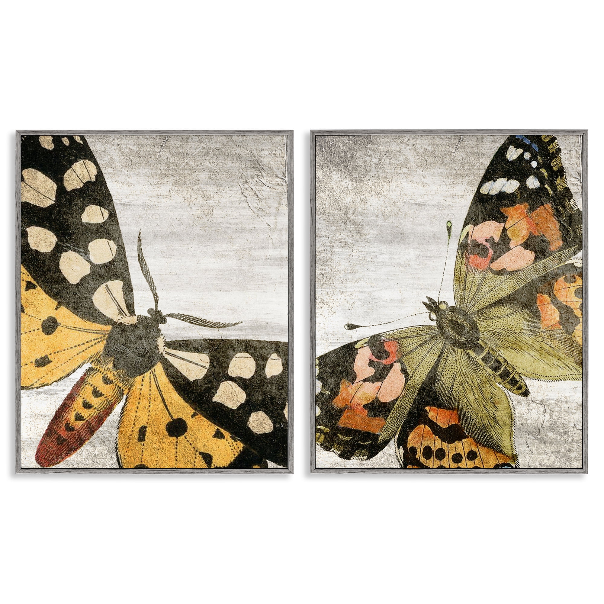 Stupell Industries Vintage Spotted butterflies Animals Painting Gray Framed Art Print Wall Art, 16 x 20, Set of 2