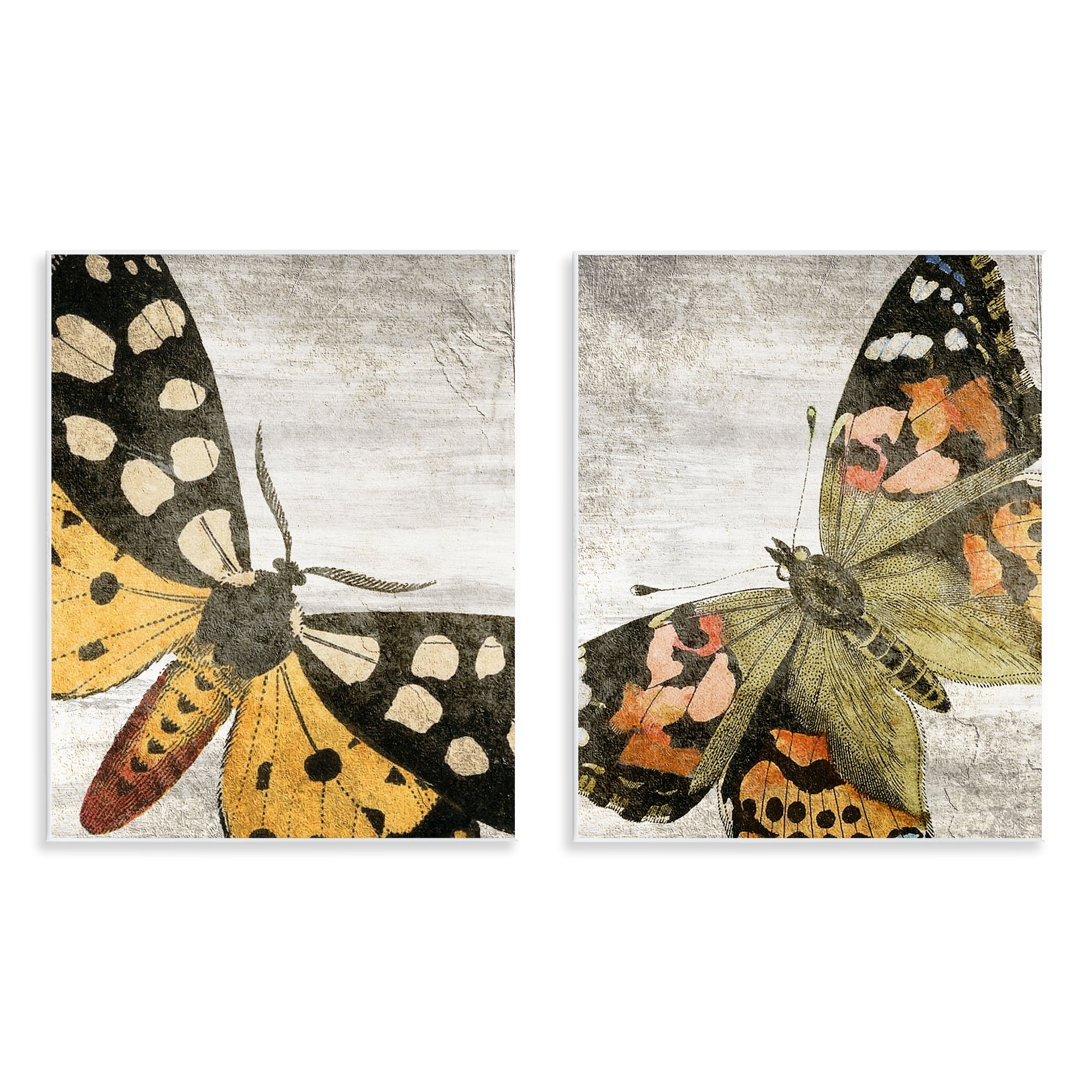 Stupell Industries Vintage Spotted butterflies Animals Painting Unframed Art Print Wall Art, 11 x 14, Set of 2